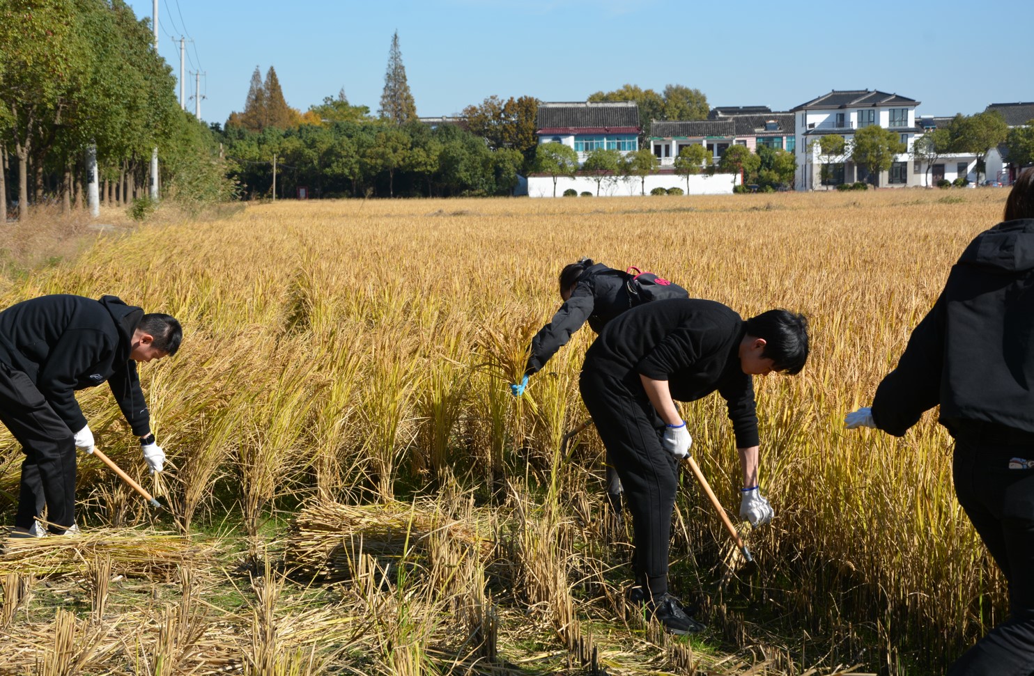 豐收時刻:「我有一畝田」公益活動成果分享-ESG訊息-新聞中心-關於尖點-尖點科技
